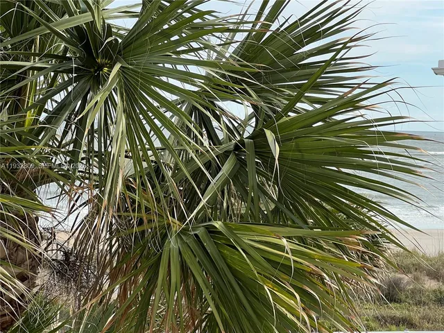 $690,000 | 2836 Coastal Highway, Unit 5, St. Augustine, FL 32084