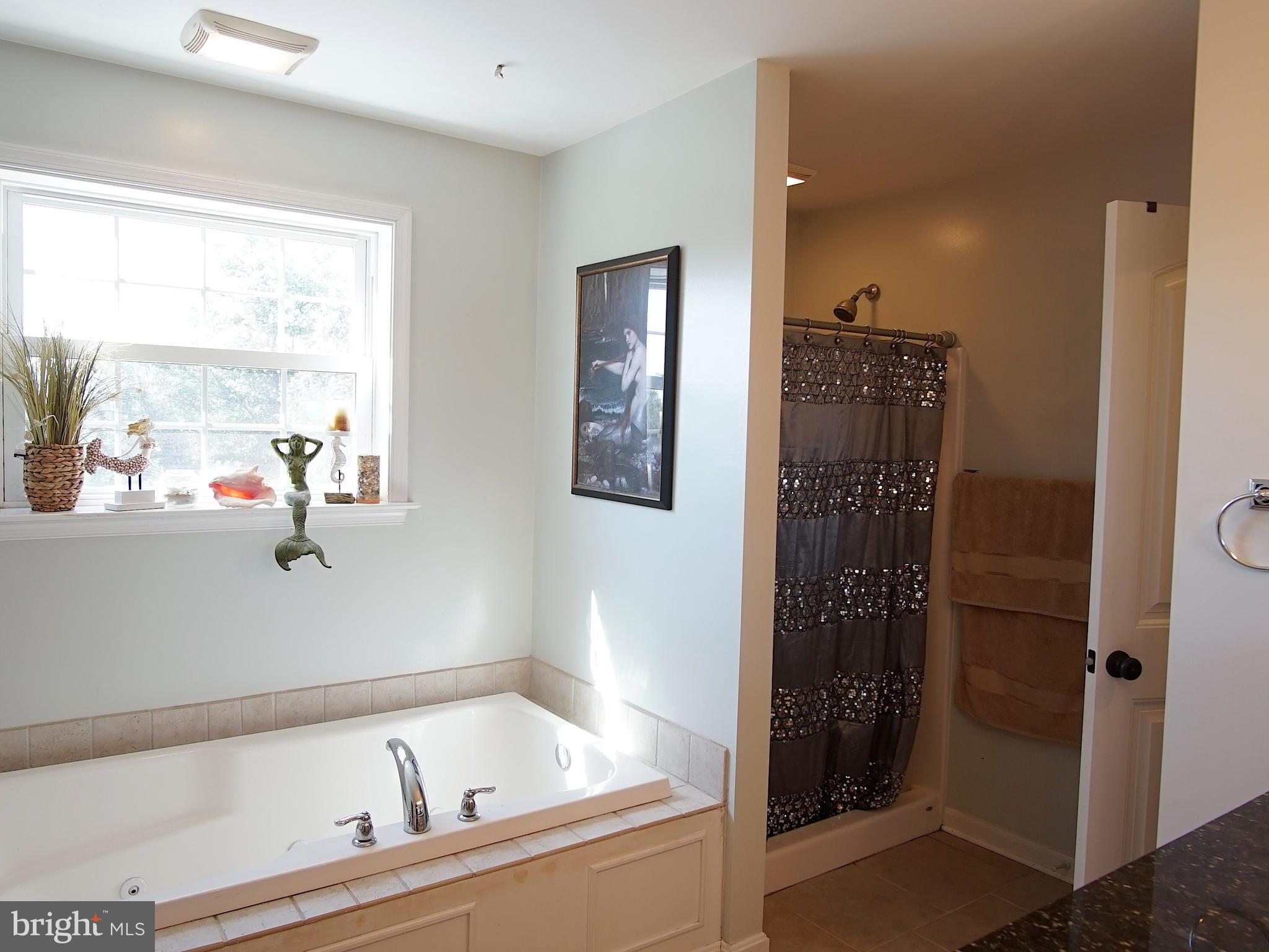 10209 Bethel Road Frederick, MD 21702 - Photo 18 of 30 Bath (Master)
