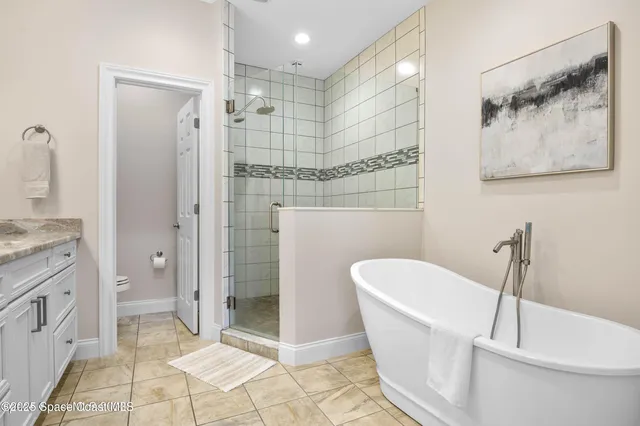 a bathroom with a bathtub and a shower