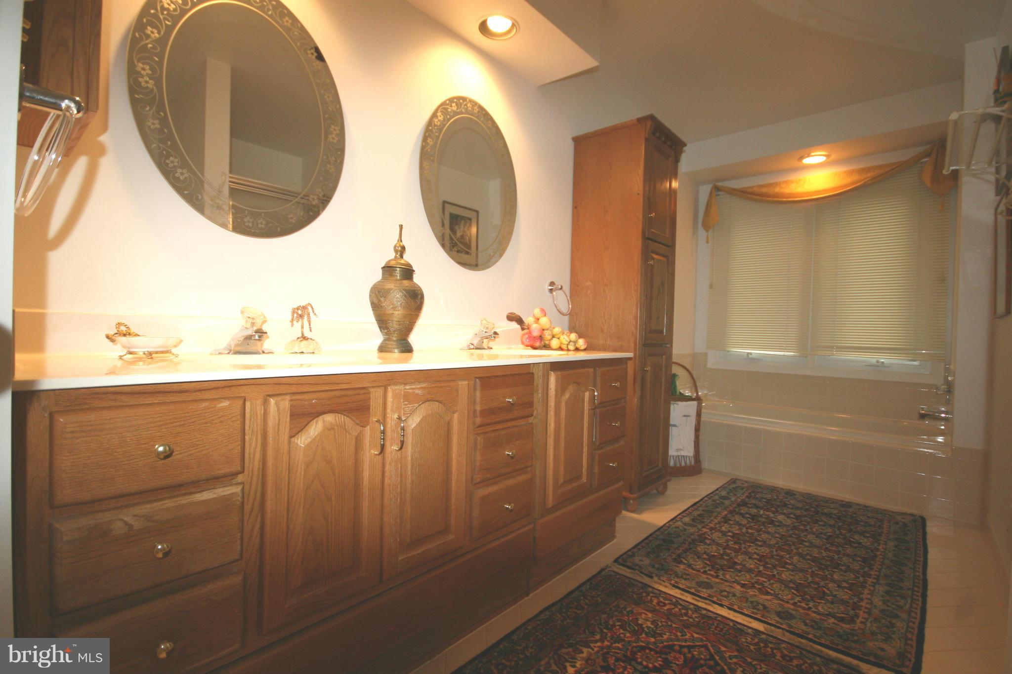 4737 Timber Ridge Drive Dumfries, VA 22025 - Photo 16 of 22 Bath (Master)
