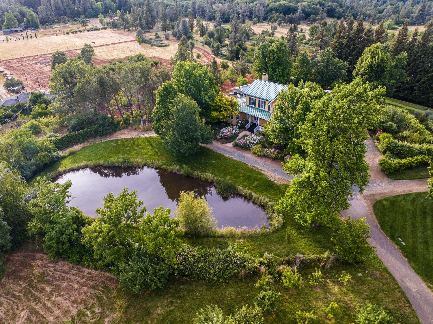 15834 Mt Olive Road Grass Valley, CA 95945 - Photo 1 of 1 an aerial view of residential houses with outdoor space and trees all around