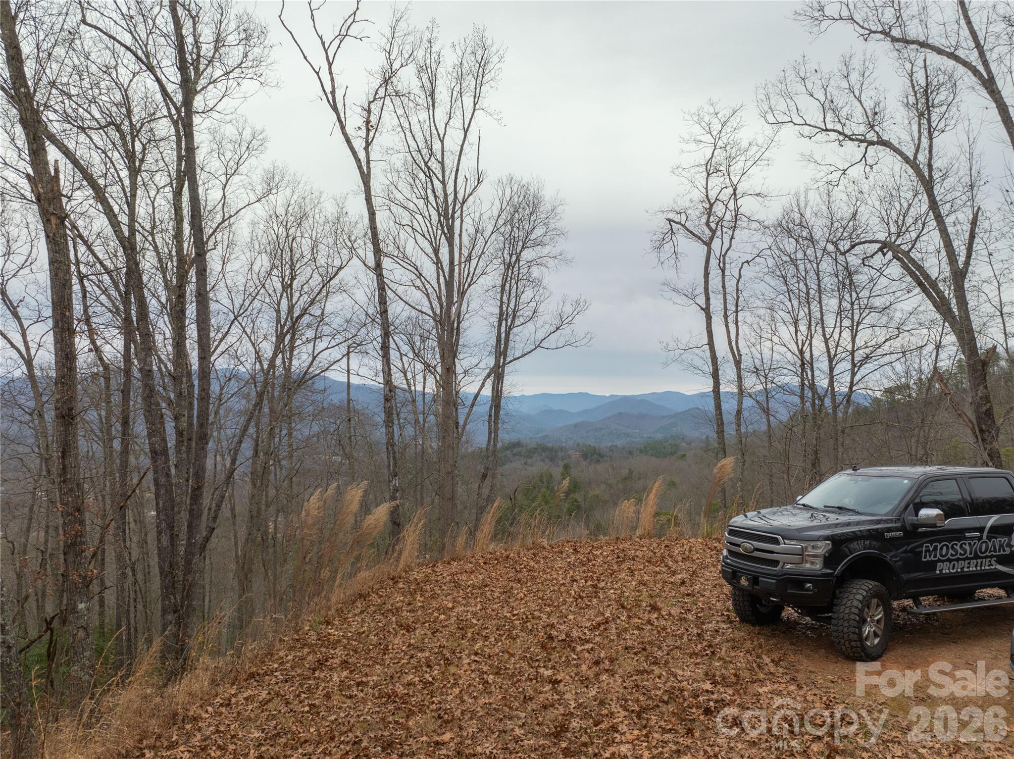 a car parked on the side of the road