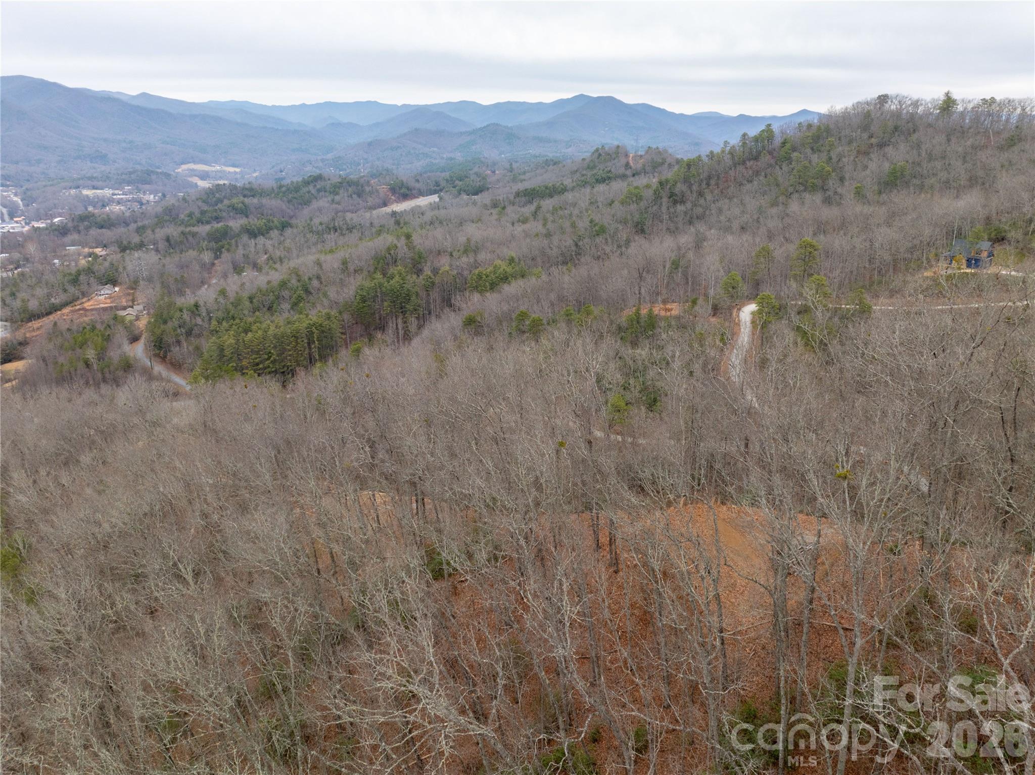 999 Breedlove Road, Unit 2 Bryson City, NC 28713 - Photo 11 of 15 a view of a lush green hillside and a houses