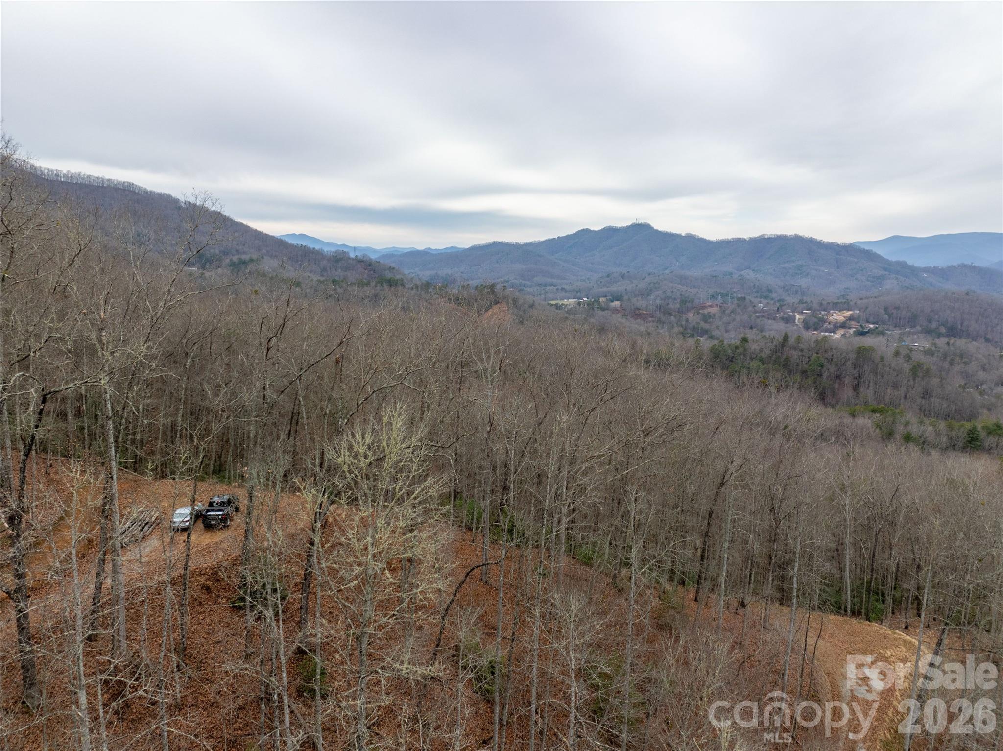 999 Breedlove Road, Unit 2 Bryson City, NC 28713 - Photo 3 of 15 a view of lake with mountain