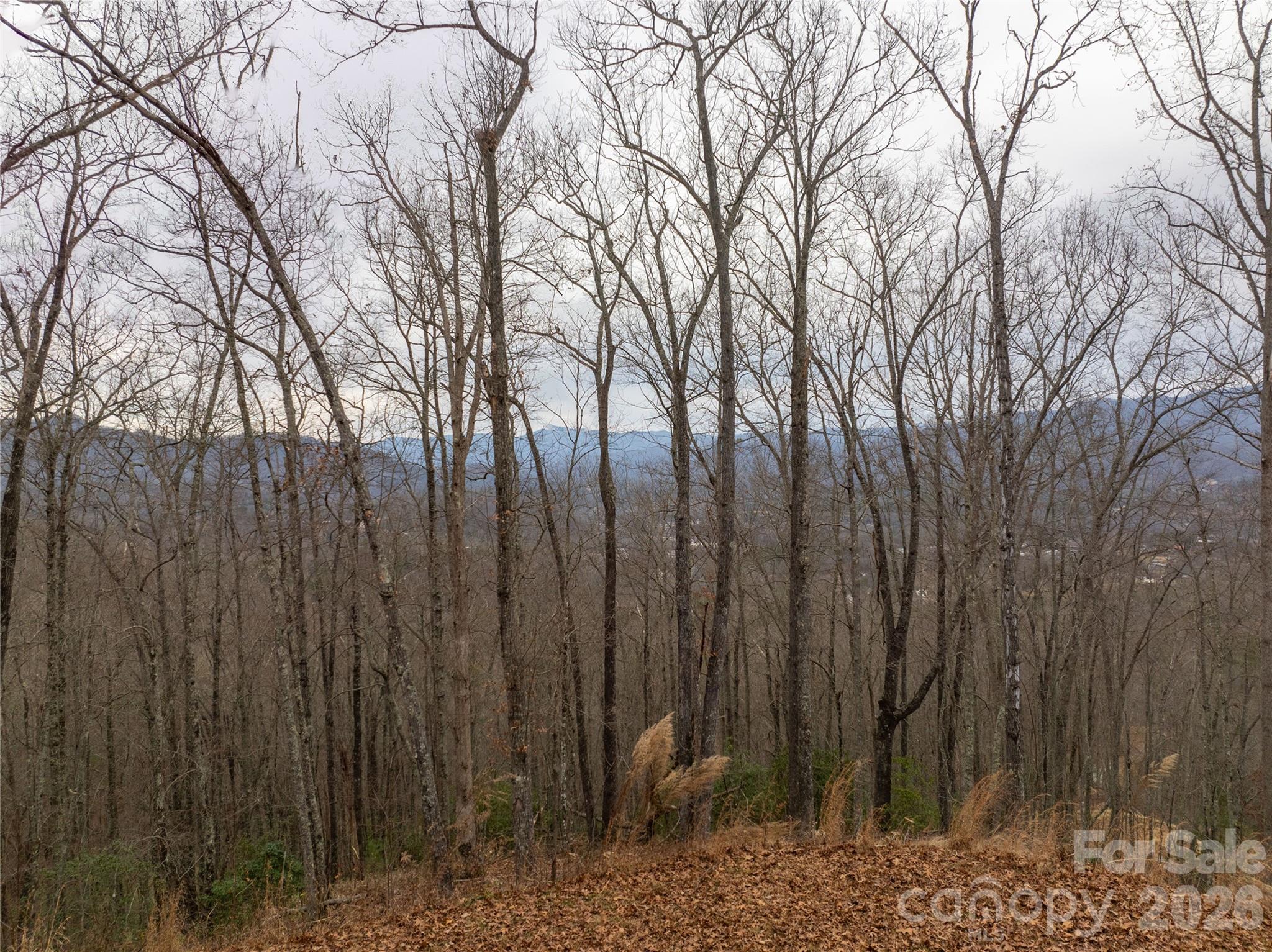 999 Breedlove Road, Unit 2 Bryson City, NC 28713 - Photo 4 of 15 a view of a backyard