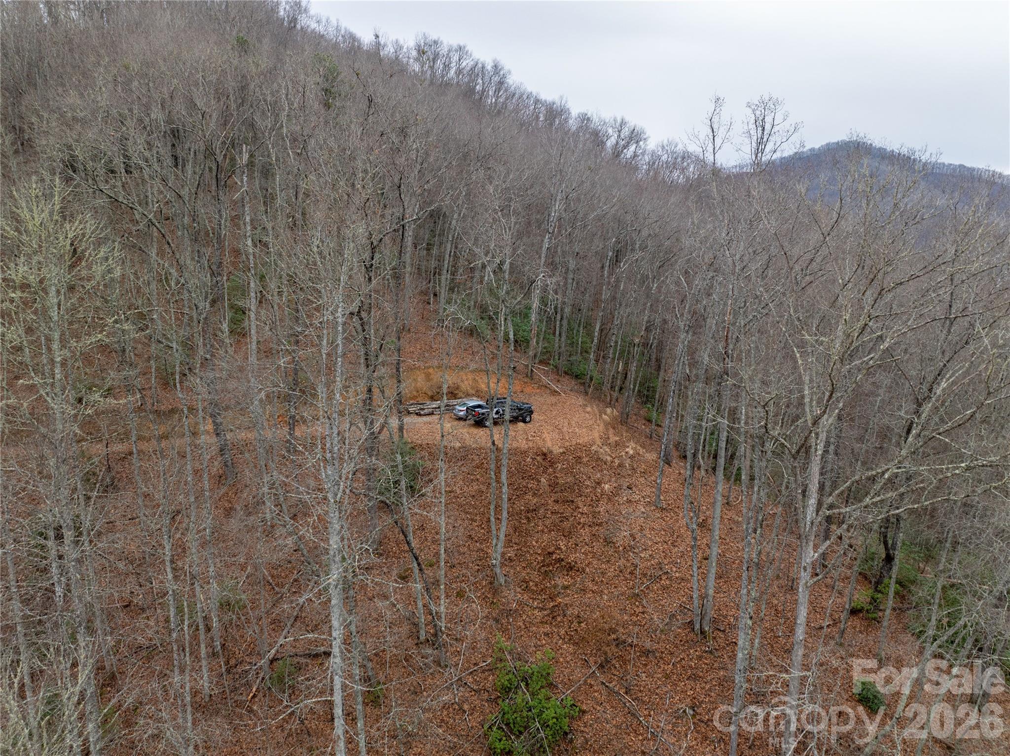 999 Breedlove Road, Unit 2 Bryson City, NC 28713 - Photo 9 of 15 a view of a pathway with a dry yard