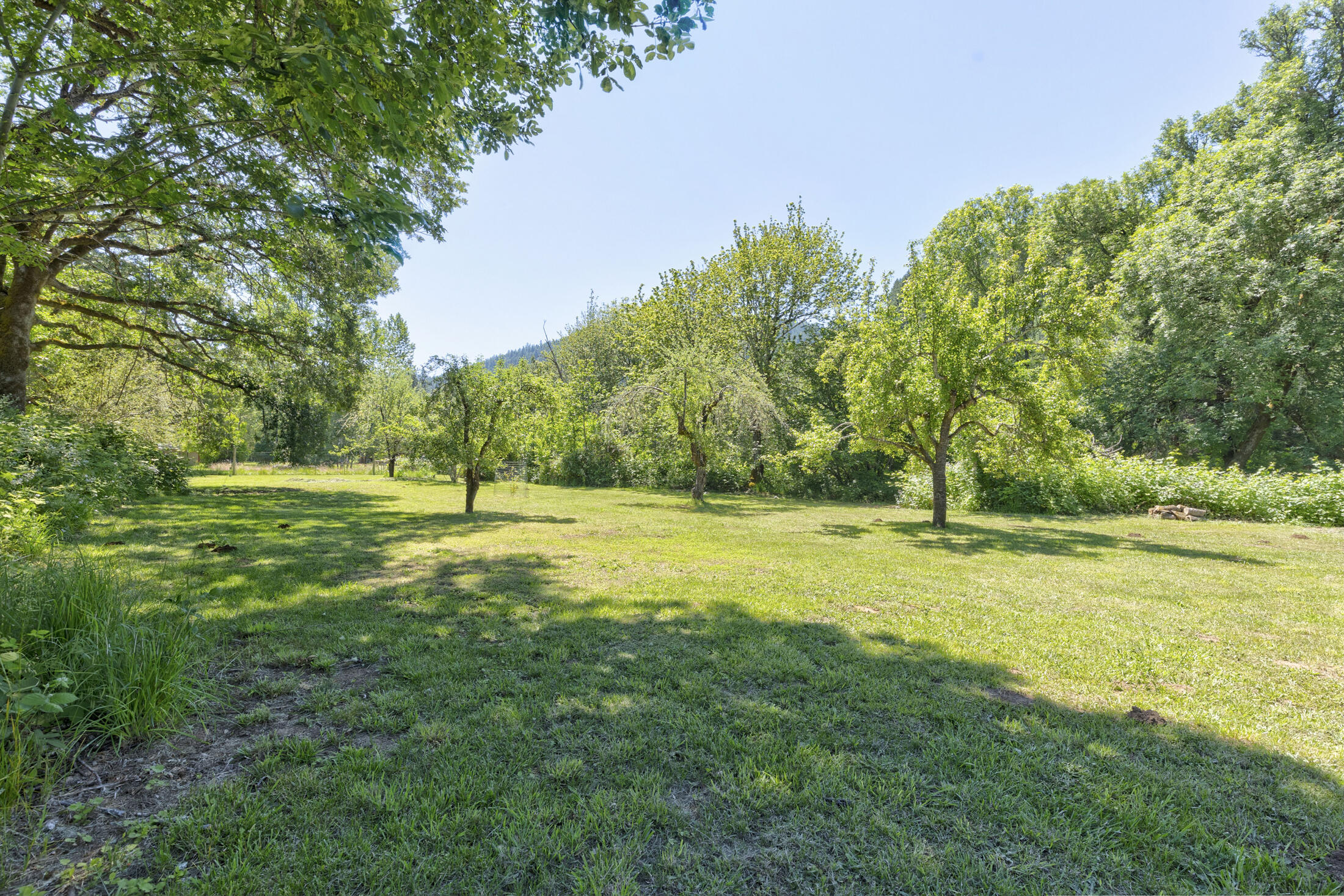 619 Placer Road Wolf Creek, OR 97497 - Photo 29 of 52 0R1A6540_1_2_3_4