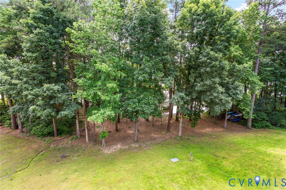 318 Water Pointe Lane Midlothian, VA 23112 - Photo 25 of 50 a view of backyard with green space