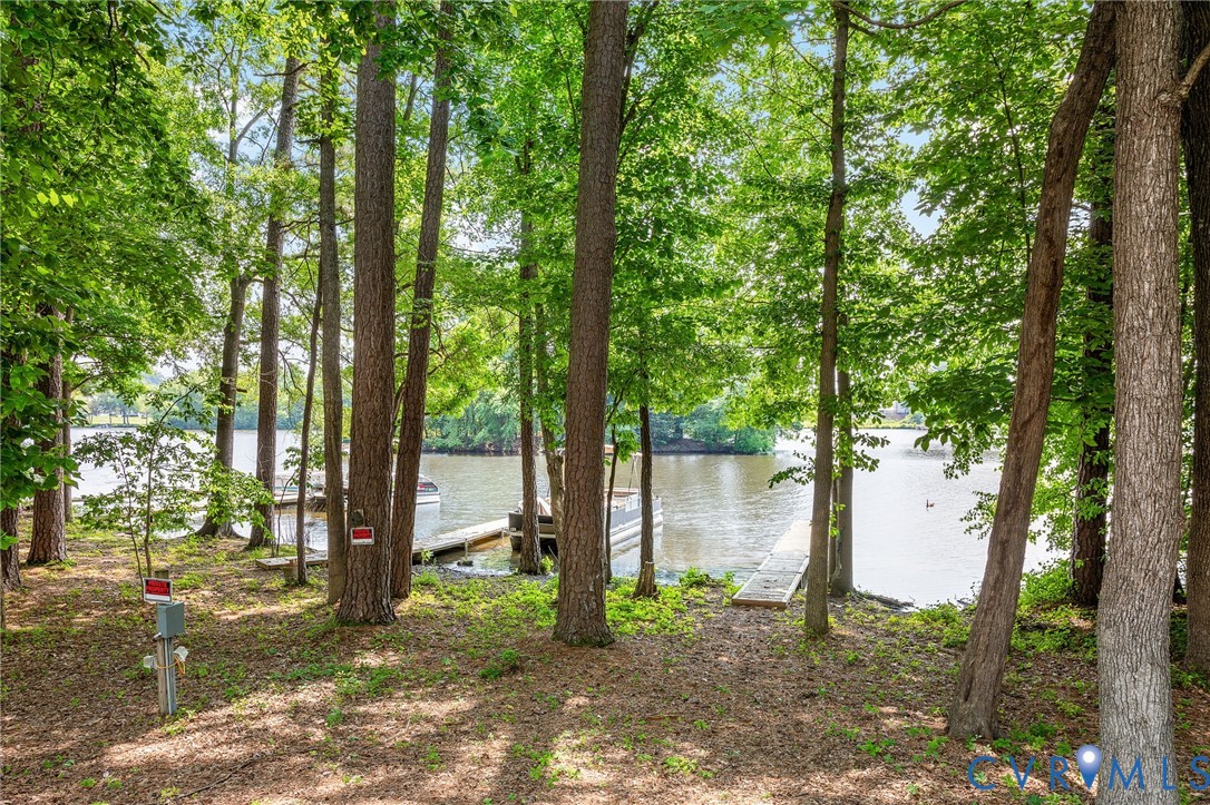 318 Water Pointe Lane Midlothian, VA 23112 - Photo 27 of 50 a backyard of a house with lots of green space