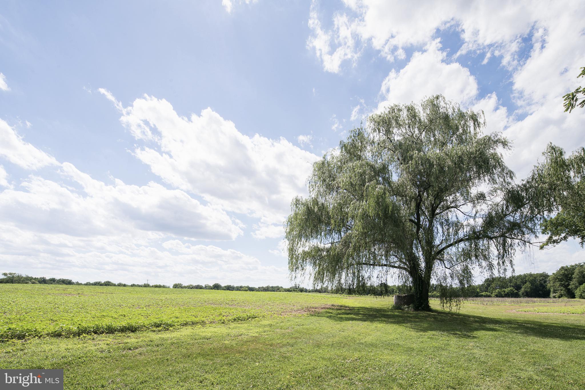 92 Warner Road Pilesgrove, NJ 08098 - Photo 29 of 37 Park-like Acreage