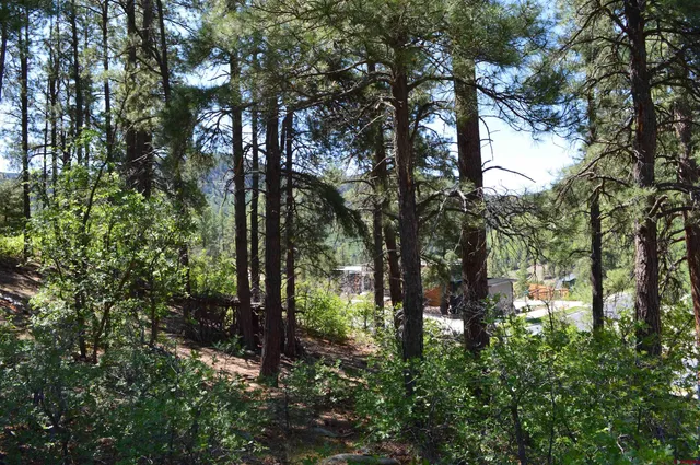 a view of outdoor space