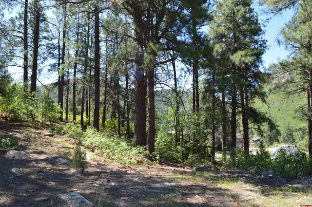 a close up of a sink
