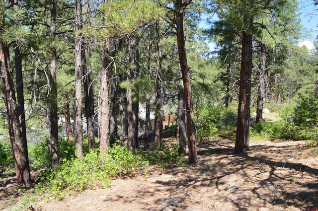 a view of a air conditioner from a window