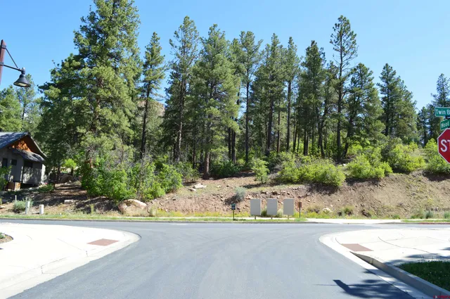 a street view with a bench and trees around