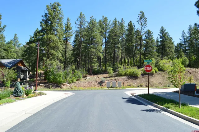an aerial view of a house with mountain view