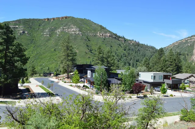 a pathway of a forest