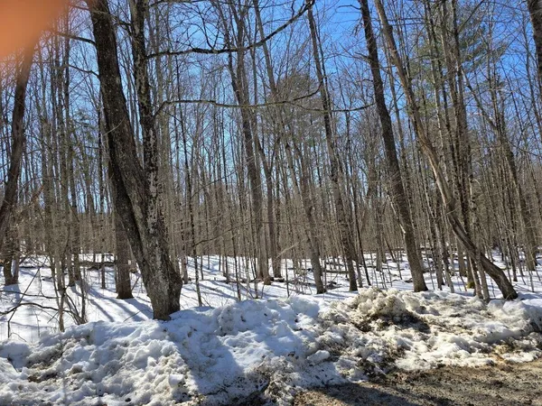 $89,000 | Copeland Road, Charlestown, NH 03603