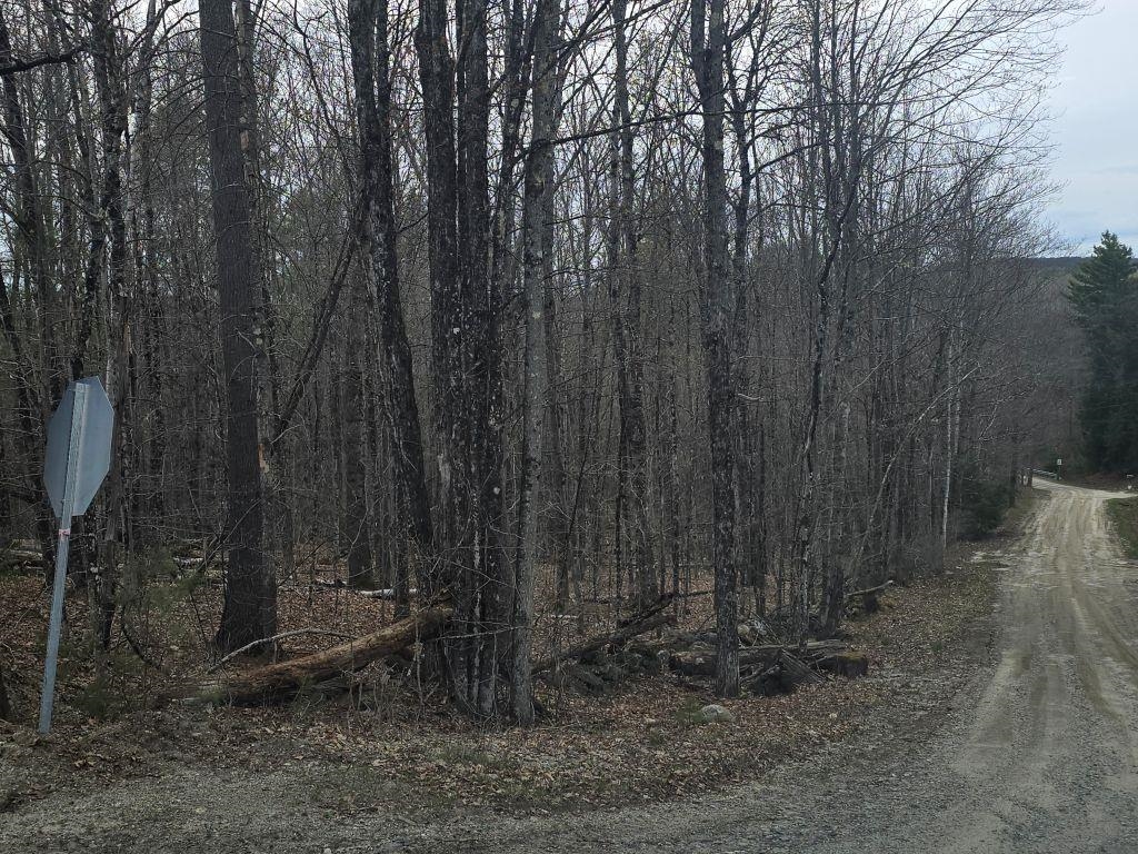 Copeland Road Charlestown, NH 03603 - Photo 2 of 4