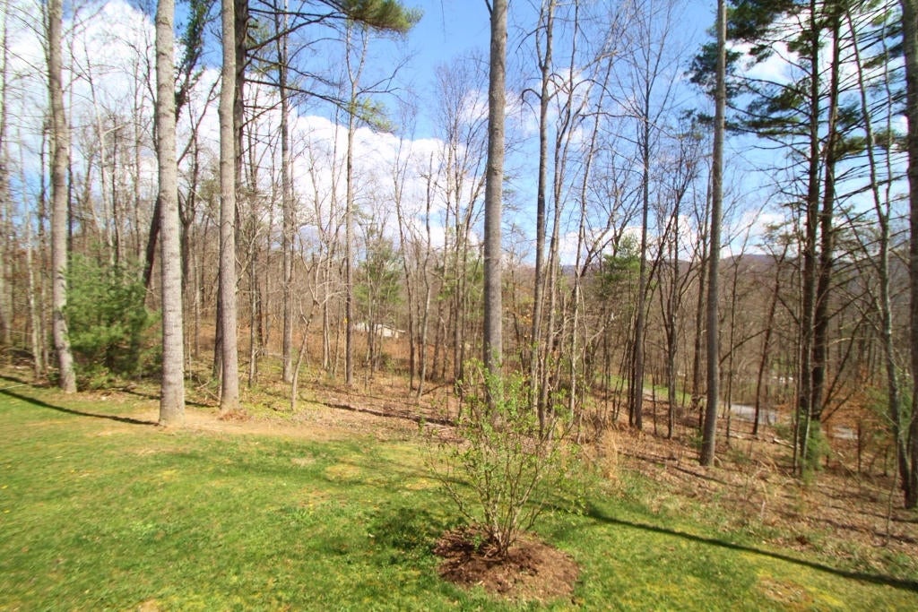 1700 Stone House Road Caldwell, WV 24925 - Photo 36 of 43 Gallery Image 36