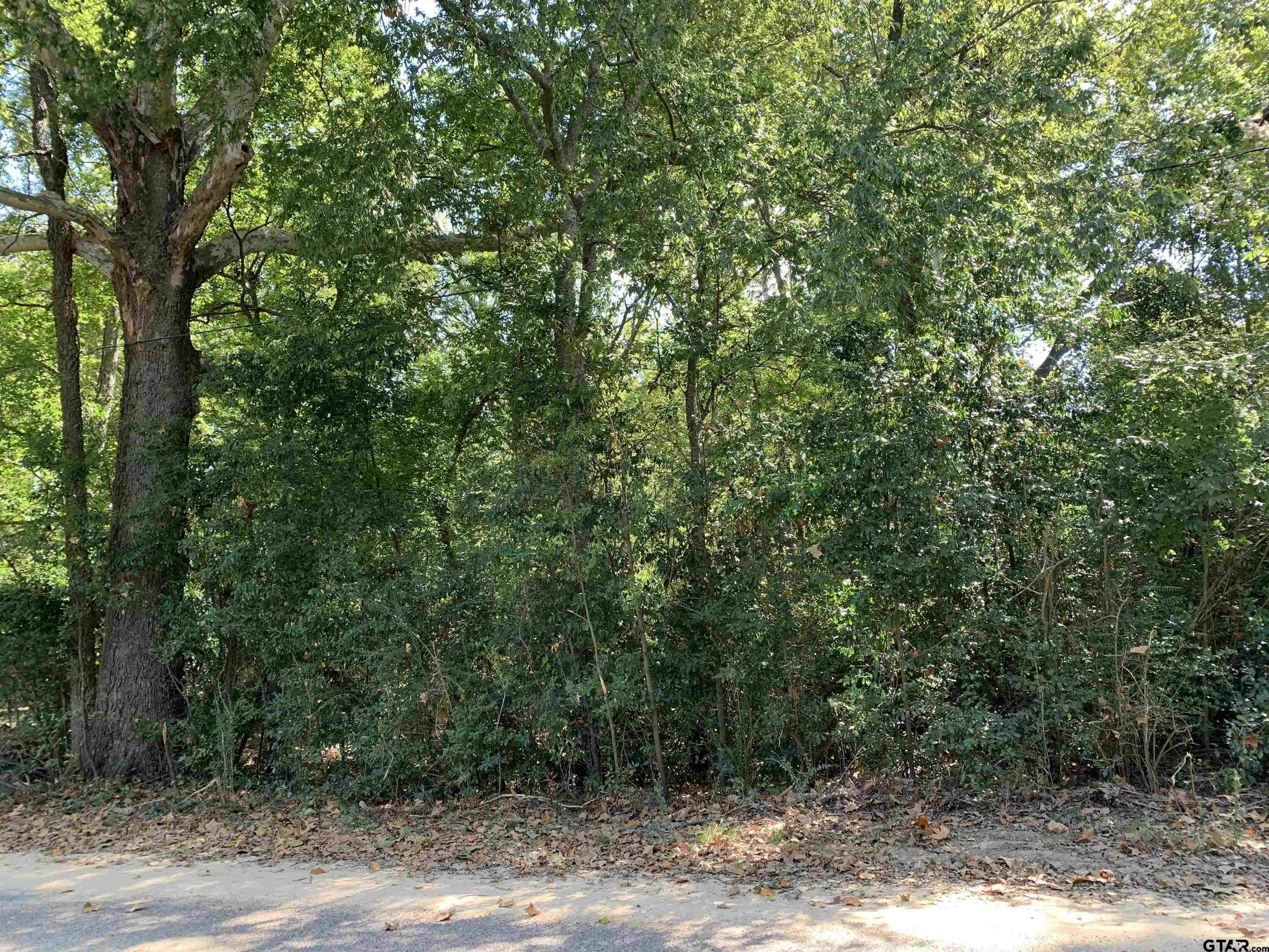 516 Chase Street Athens, TX 75751 - Photo 2 of 9 a view of a forest with trees