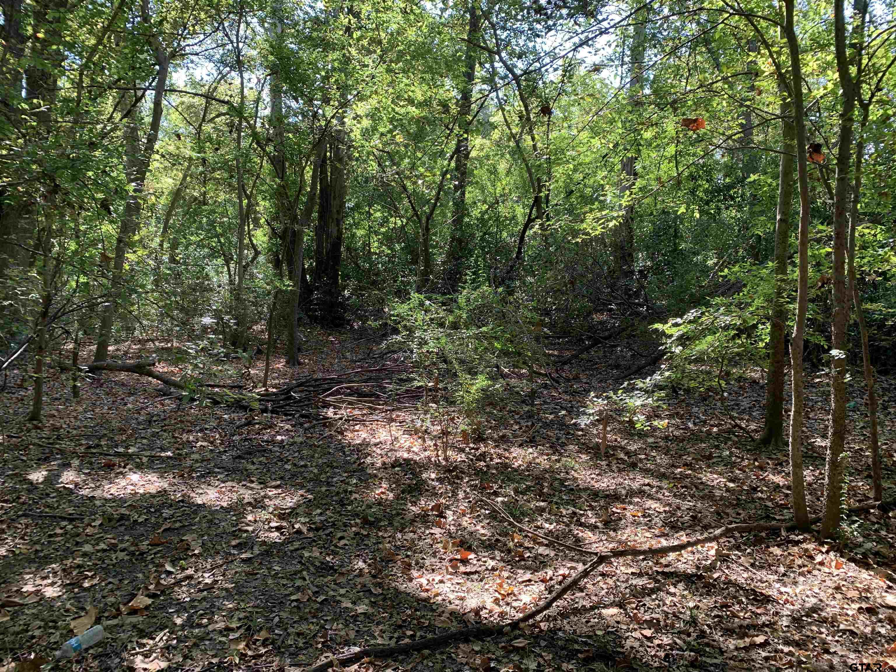516 Chase Street Athens, TX 75751 - Photo 3 of 9 a view of a forest with trees in the background
