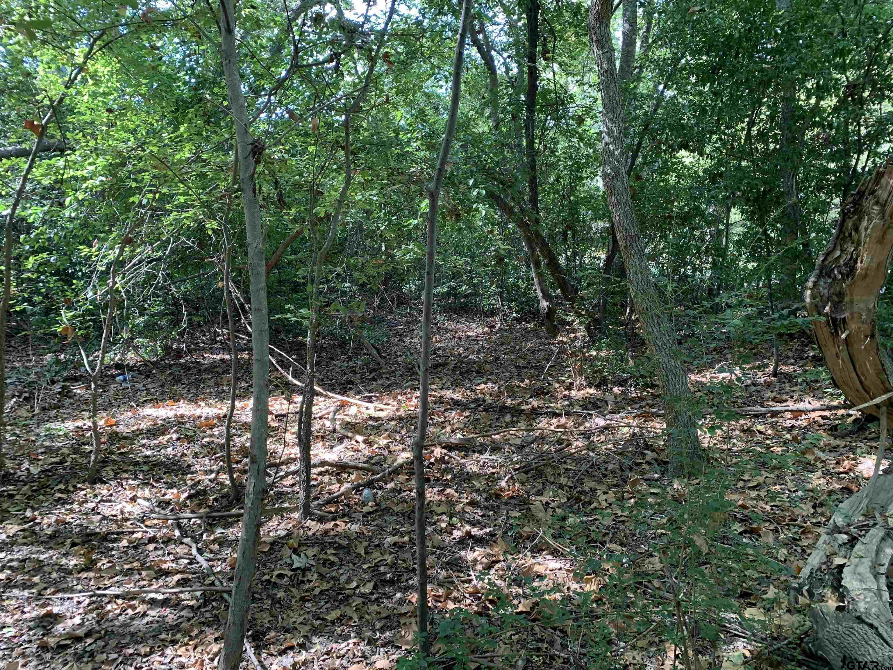 516 Chase Street Athens, TX 75751 - Photo 4 of 9 a view of forest