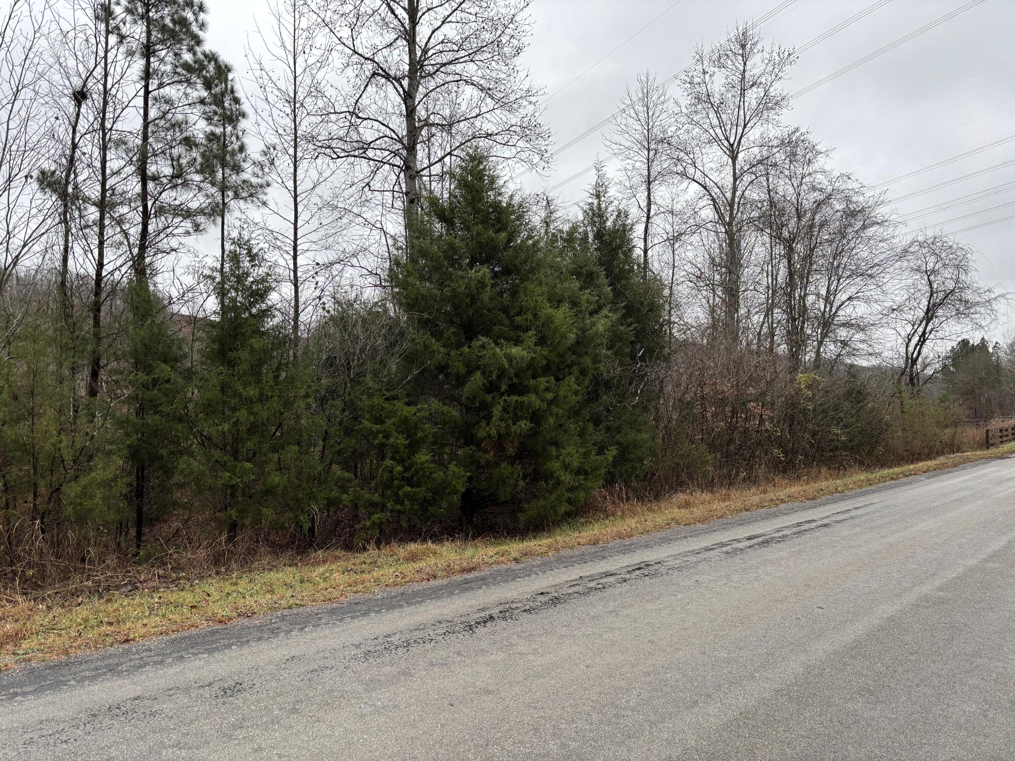 1500 Guinn Narrows Road Decatur, TN 37322 - Photo 15 of 47 Gallery Image 15