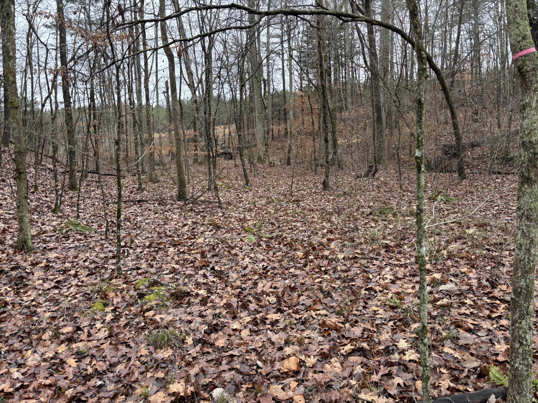 1500 Guinn Narrows Road Decatur, TN 37322 - Photo 34 of 47 Gallery Image 34