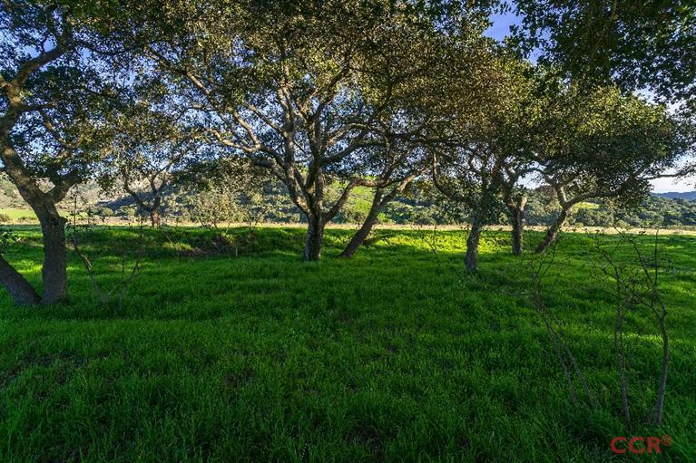 2300 Santa Rita Road Lompoc, CA 93436 - Photo 6 of 21 Additional Photo