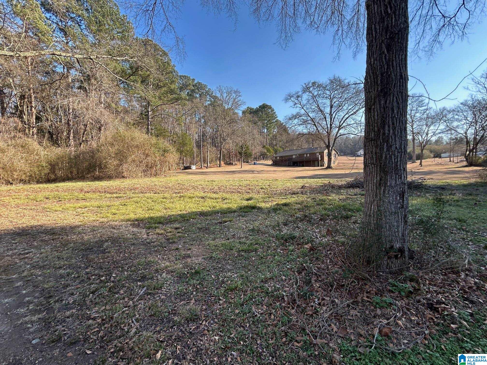 309 Whites Gap Road Southeast Jacksonville, AL 36265 - Photo 13 of 13
