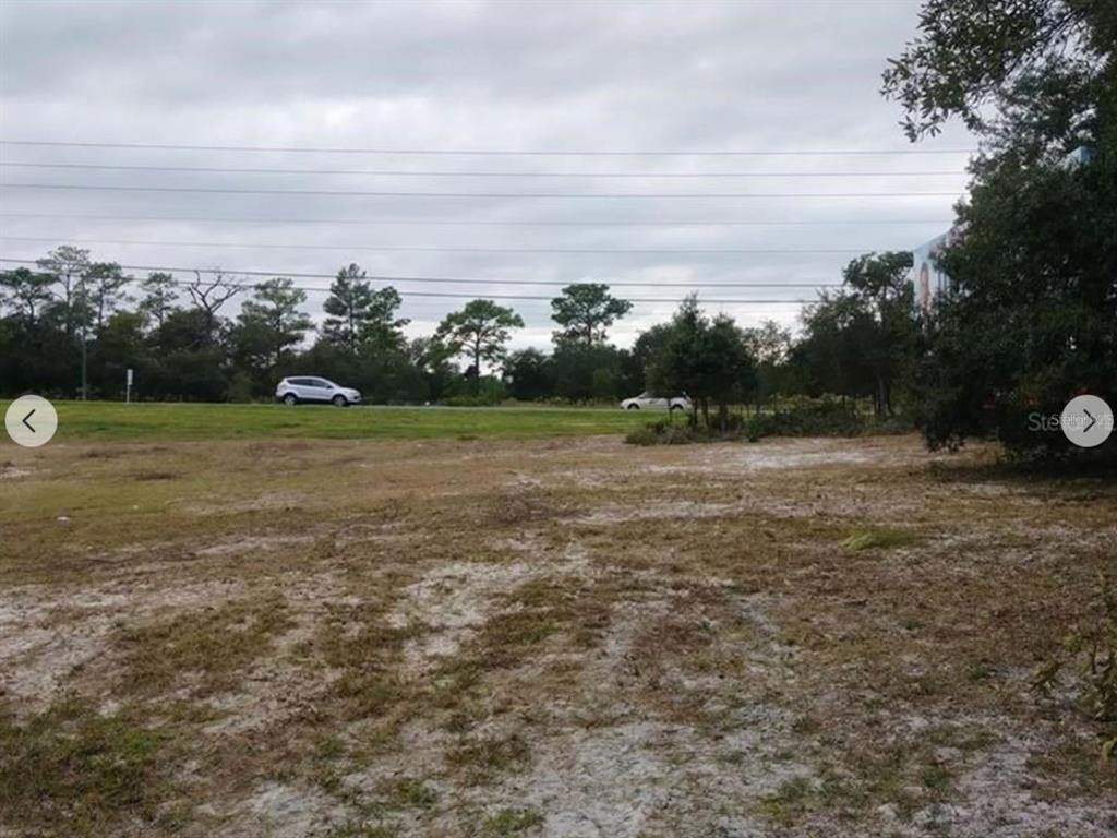 9468 Marengo Street Weeki Wachee, FL 34613 - Photo 6 of 8 a view of a field with an trees
