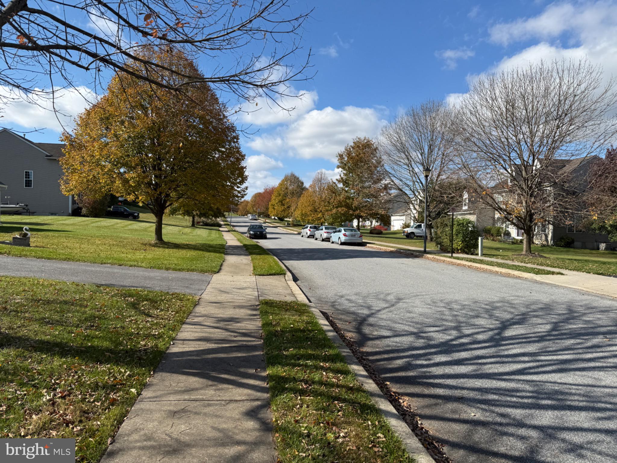 300 Brook Road Atglen, PA 19310 - Photo 42 of 42 a street view with large trees