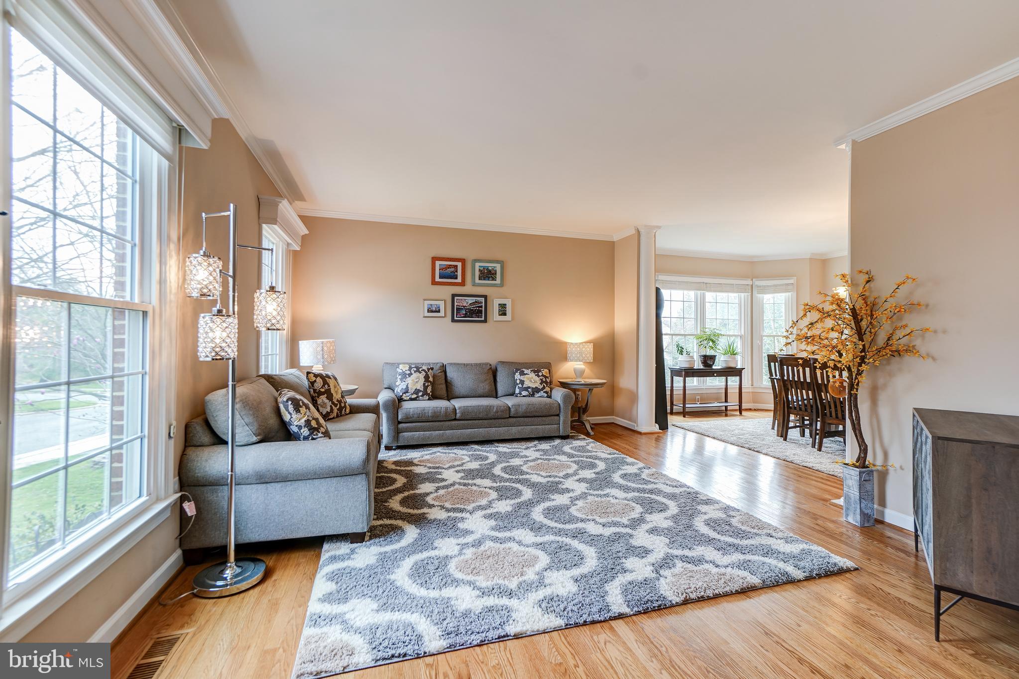 12108 Damson Drive North Potomac, MD 20878 - Photo 5 of 47 Spacious, Light-Filled Living Room