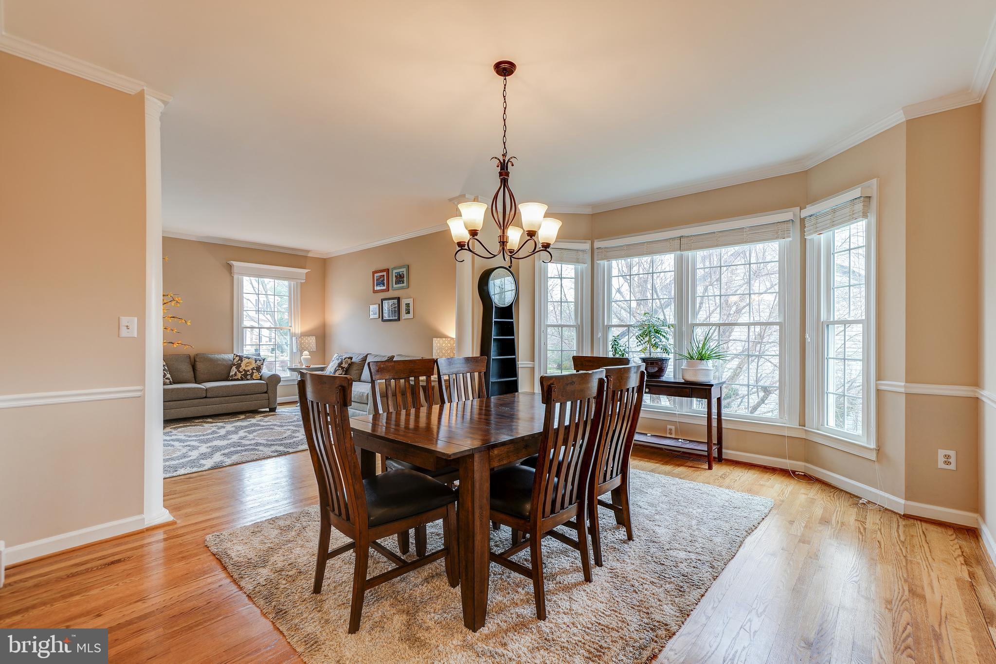 12108 Damson Drive North Potomac, MD 20878 - Photo 8 of 47 Dining Room with Bay Window and Crown Molding