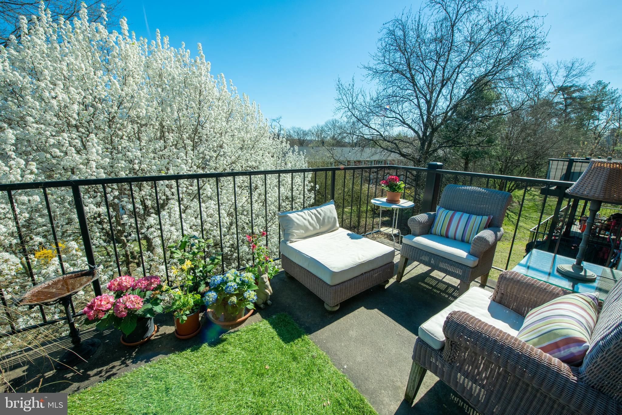 4606 28th Road South, Unit D Arlington, VA 22206 - Photo 2 of 3 Gallery Image 2