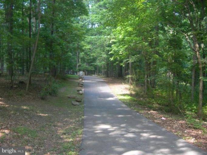 2102 Tufton Ridge Road Reisterstown, MD 21136 - Photo 11 of 30 Wooded View / Acreage