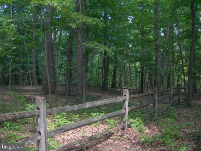 2102 Tufton Ridge Road Reisterstown, MD 21136 - Photo 12 of 30 Wooded View / Acreage 2