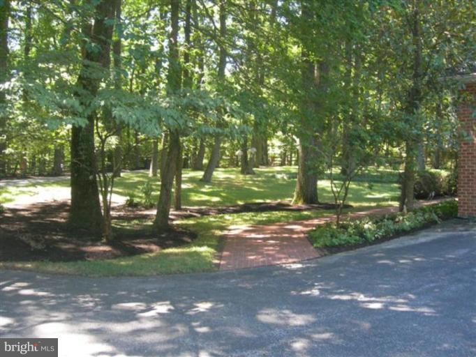 2102 Tufton Ridge Road Reisterstown, MD 21136 - Photo 16 of 30 Wooded View / Acreage 3