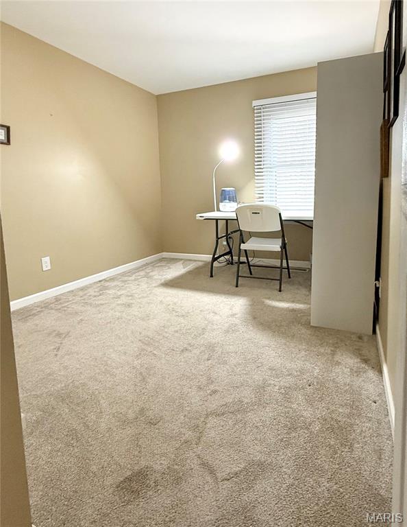 3600 Gary Arnold, MO 63010 - Photo 3 of 55