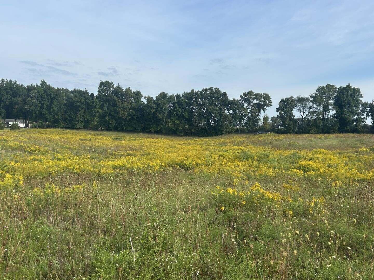 V/l Warner Road Concord, MI 49237 - Photo 5 of 7 war5