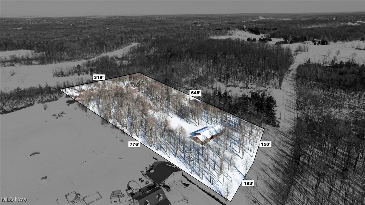 282 South Ridge Road West Conneaut, OH 44030 - Photo 43 of 49 View of snowy aerial view