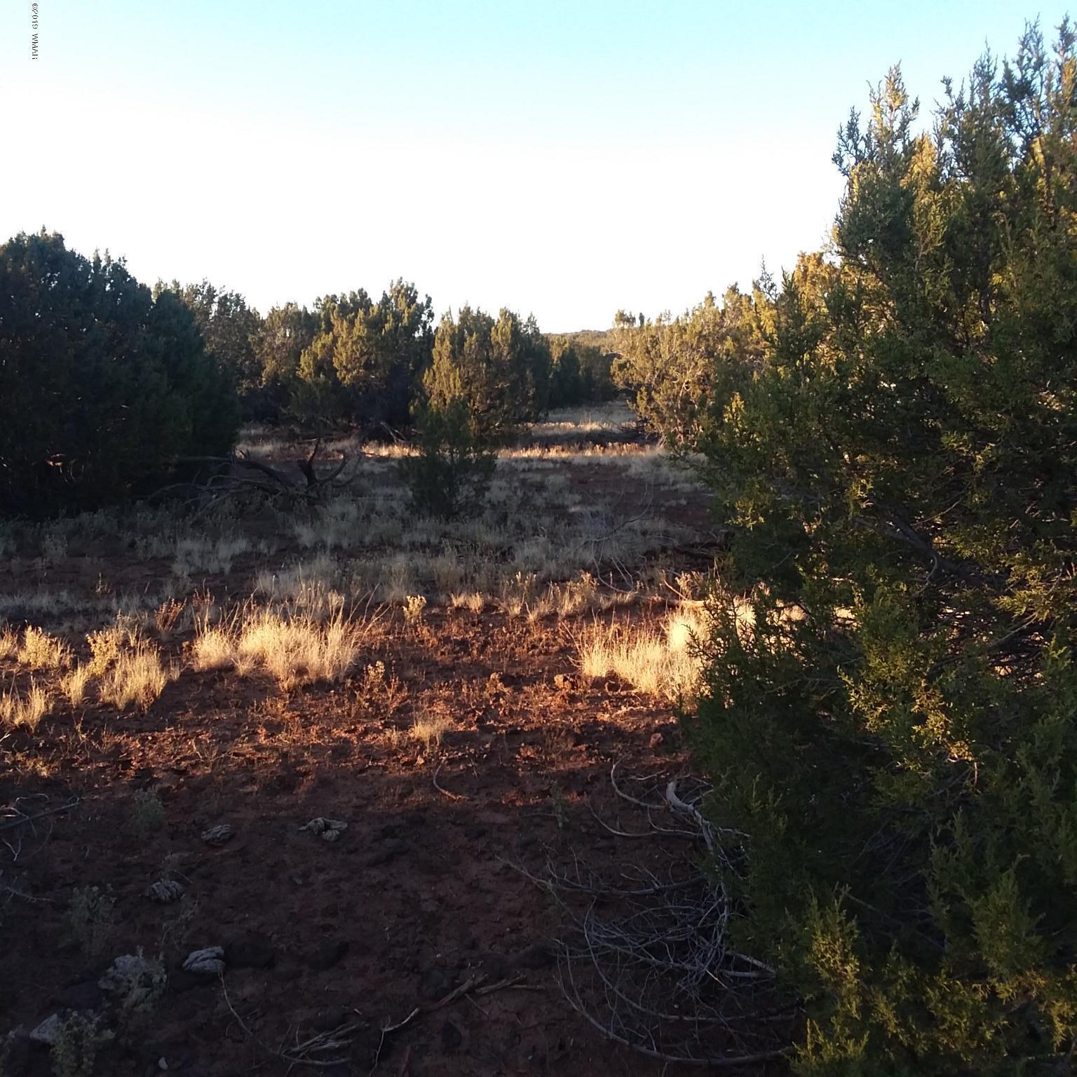 25 Bald Eagle Road Show Low, AZ 85901 - Photo 2 of 8
