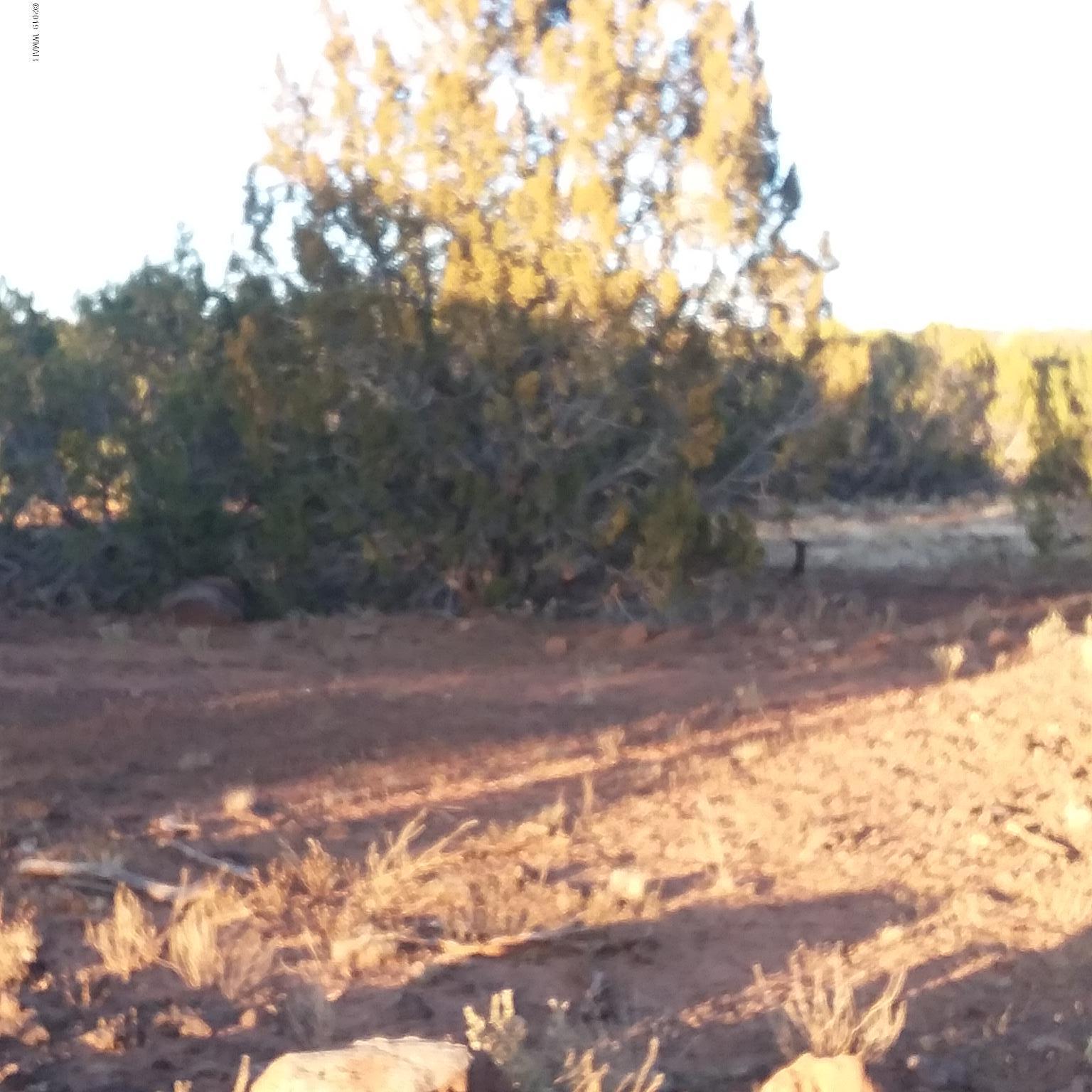 25 Bald Eagle Road Show Low, AZ 85901 - Photo 3 of 8