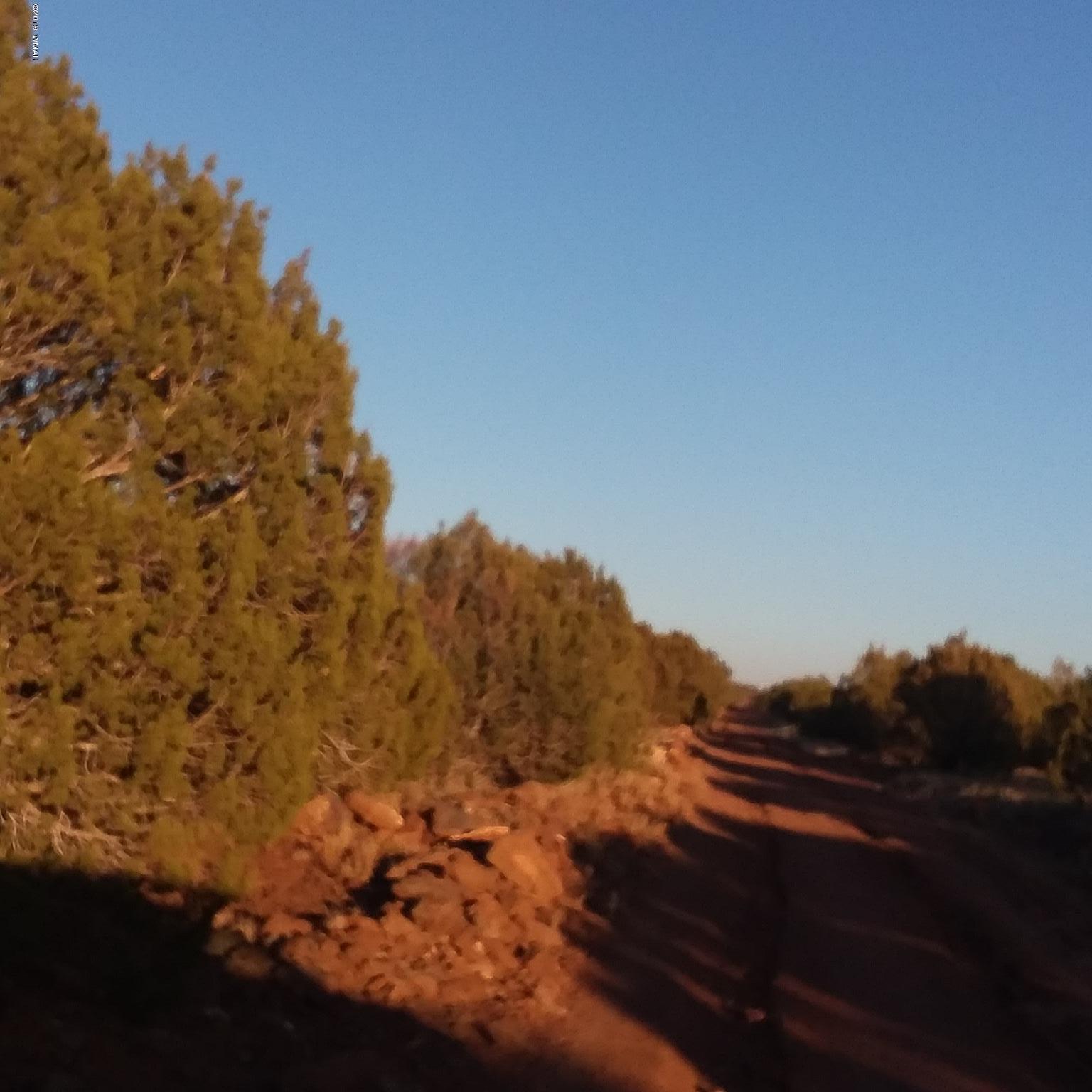 25 Bald Eagle Road Show Low, AZ 85901 - Photo 7 of 8