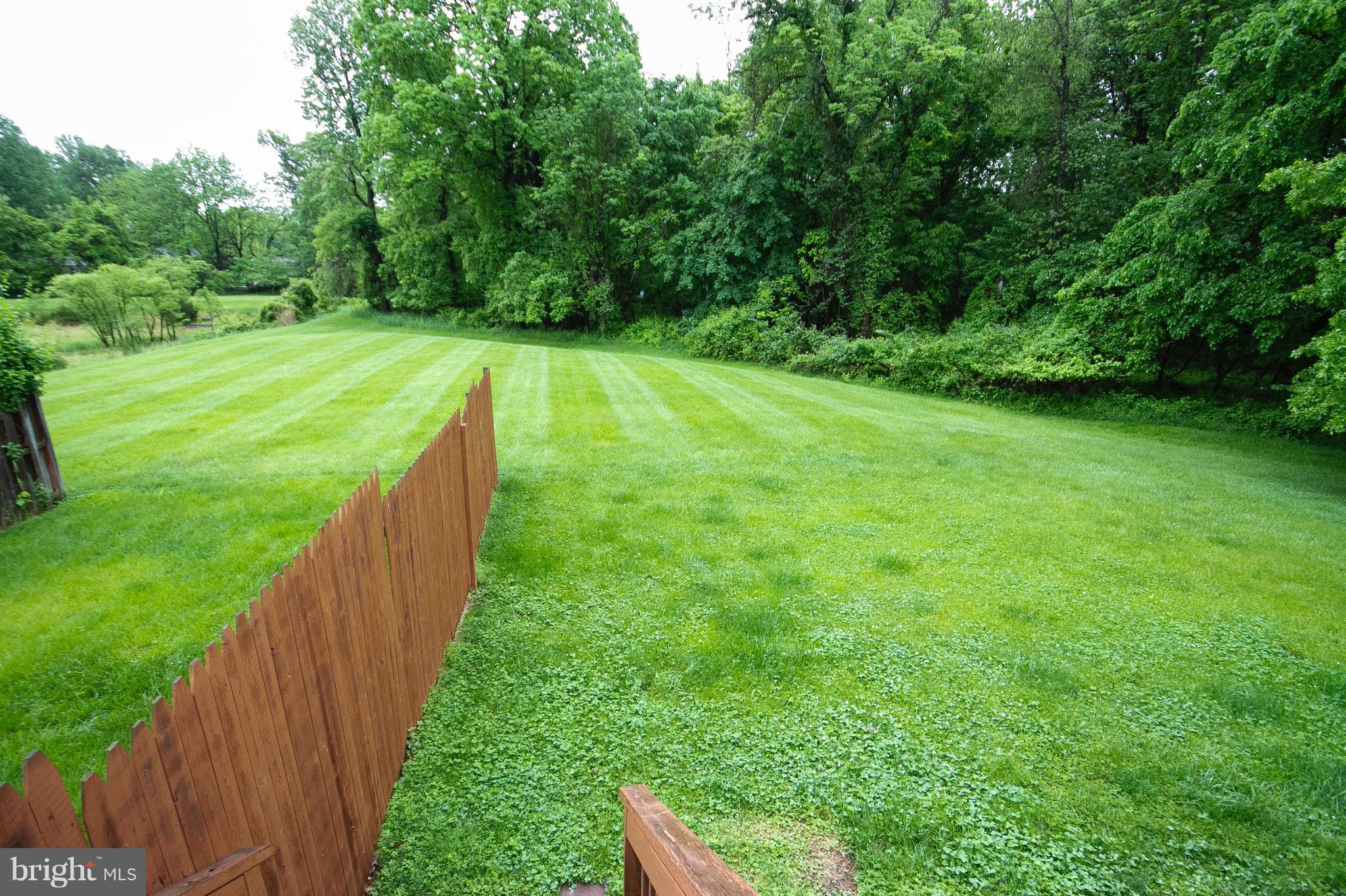 4201 Red Haven Road Baltimore, MD 21208 - Photo 28 of 29 a view of a park with a large trees