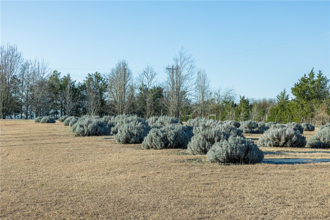2250 Dillard Road Washington, TX 77880 - Photo 30 of 50