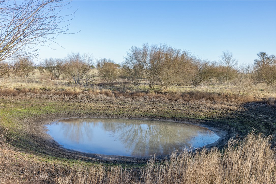 2250 Dillard Road Washington, TX 77880 - Photo 33 of 50 Second pond on the property