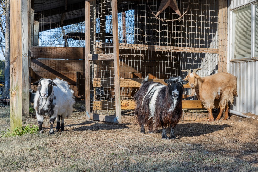2250 Dillard Road Washington, TX 77880 - Photo 40 of 50