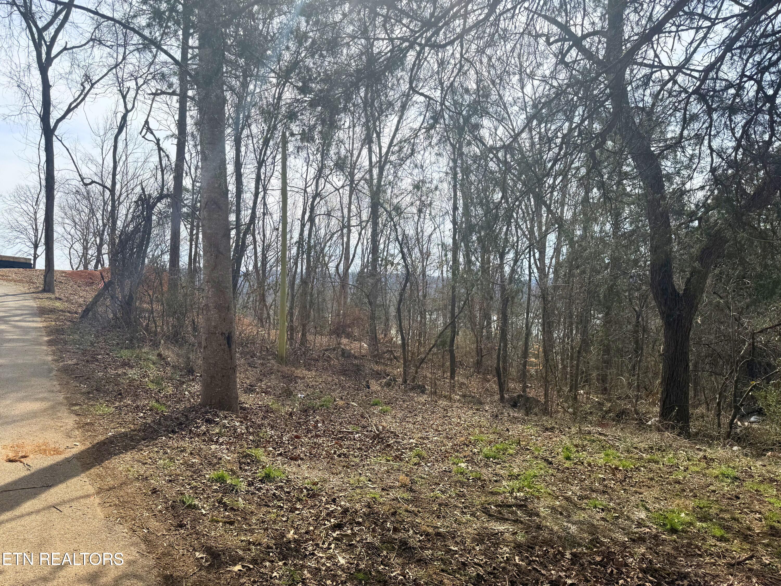 Straight Branch Road Speedwell, TN 37870 - Photo 3 of 15 1