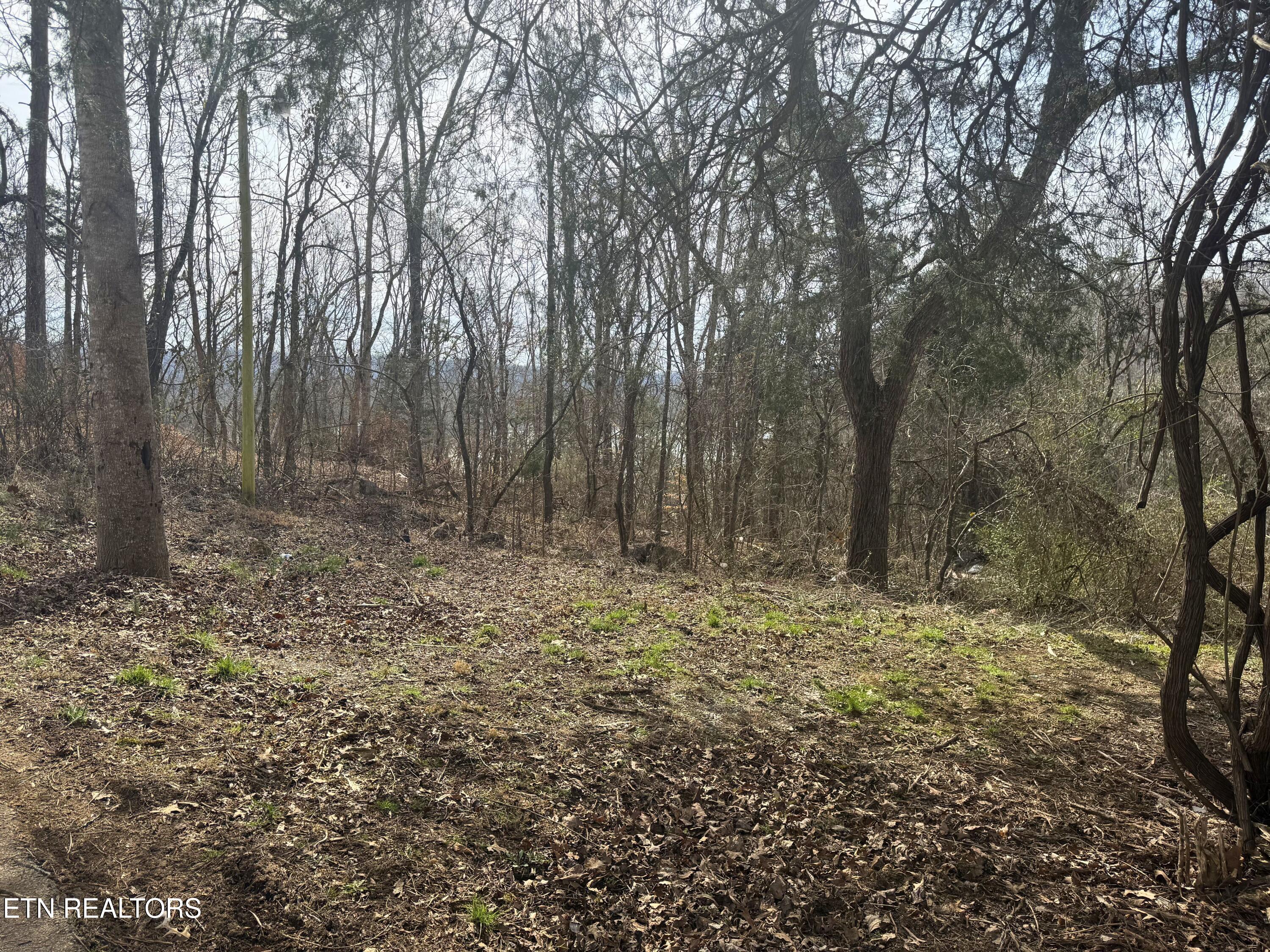 Straight Branch Road Speedwell, TN 37870 - Photo 4 of 15 3